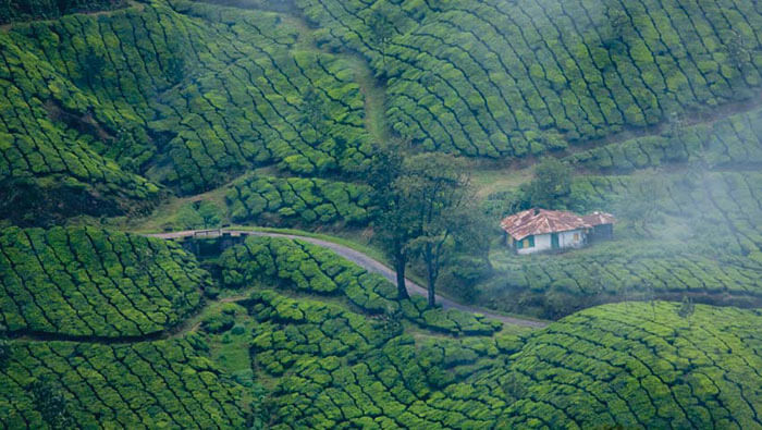 Hyderabad To Kannur