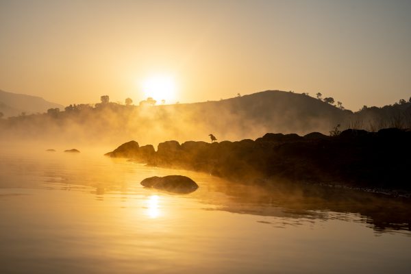 Lonavala Lake - popular place for boating